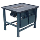 Gassmederij haard G 1000 P