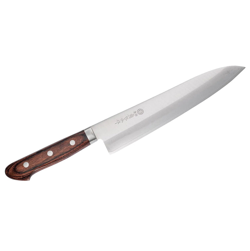 Kikuichi WG Chef 210mm